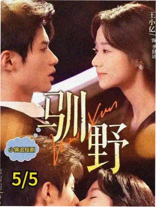 长夜将明海报